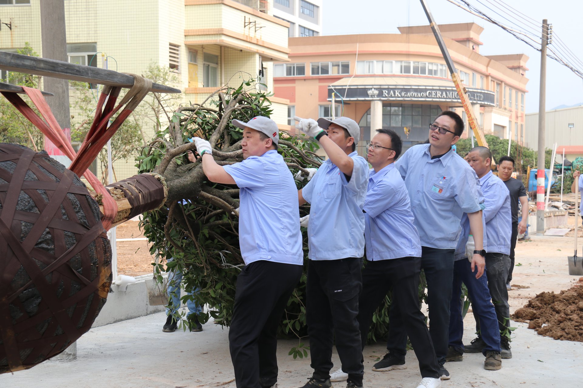 植樹(shù)節(jié)活動(dòng)