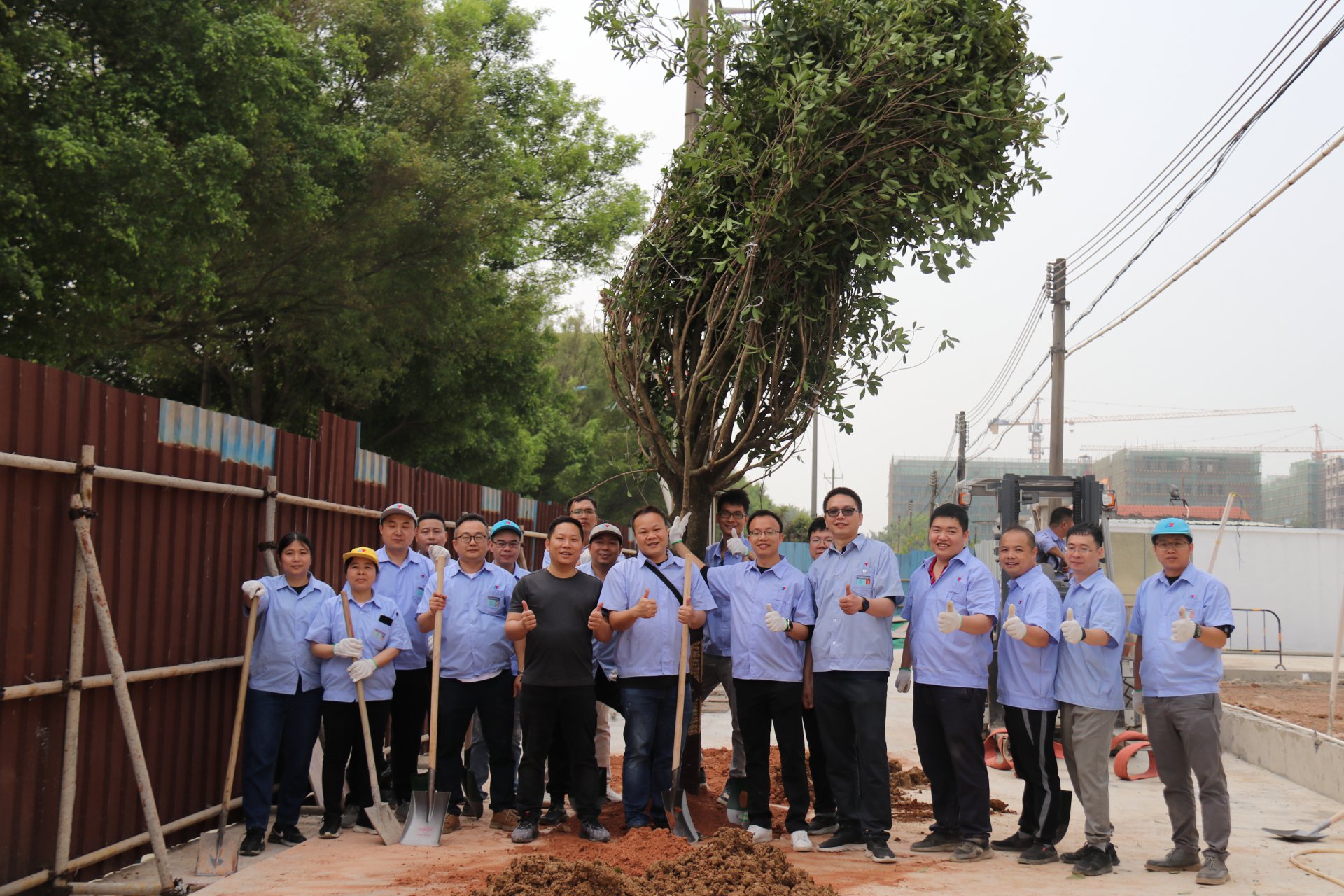 植樹(shù)節(jié)活動(dòng)