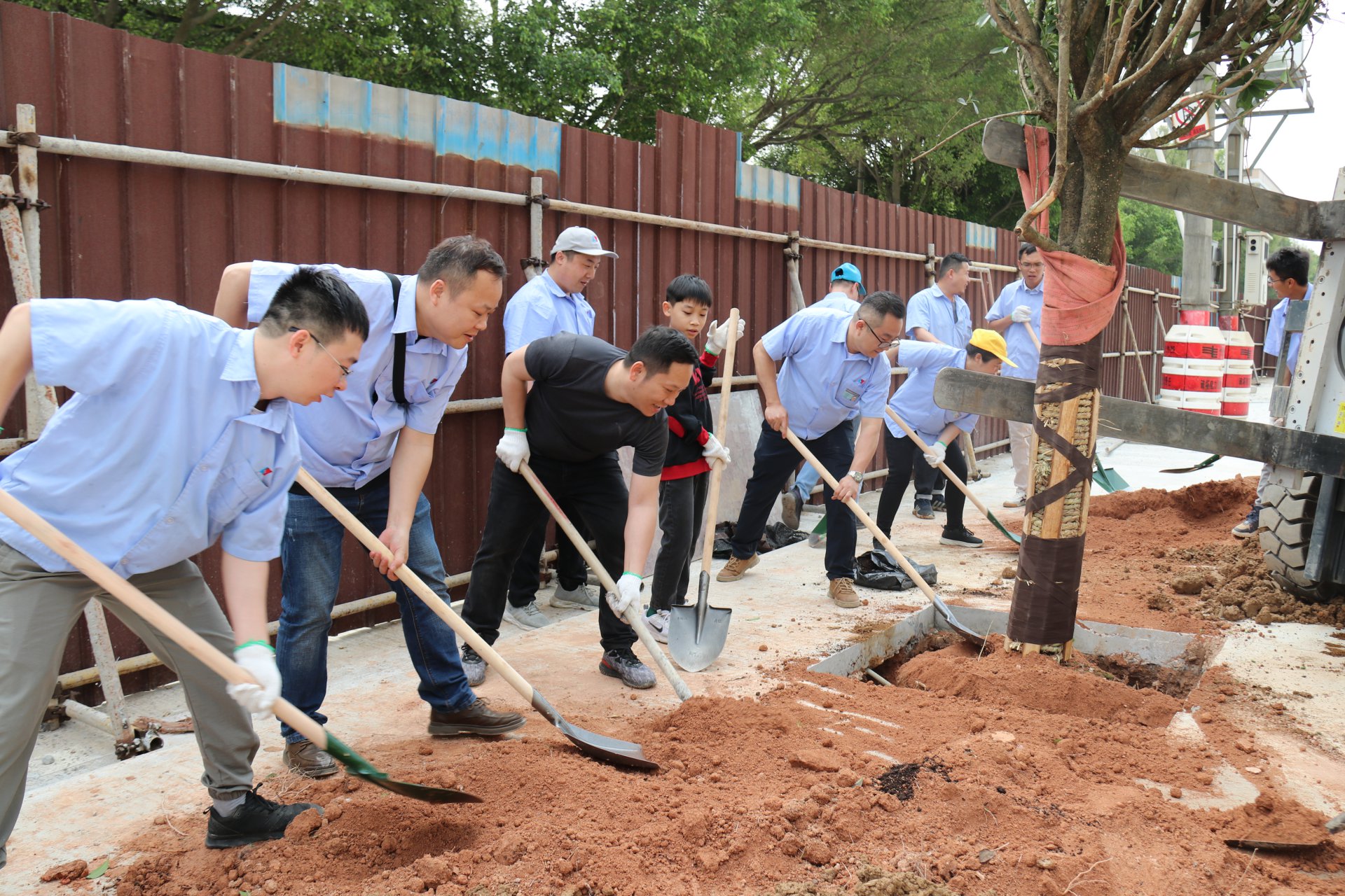 植樹(shù)節(jié)活動(dòng)